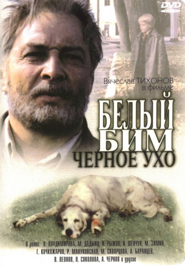 белый бим.jpg